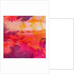 Vacos Fish, 2000 by Charlotte Johnstone