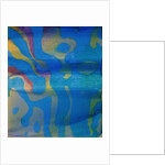 Indian Swarthy, 2000 by Charlotte Johnstone