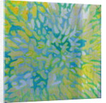 Acrapora, 2000 by Charlotte Johnstone