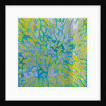 Acrapora, 2000 by Charlotte Johnstone