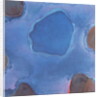 Friesian Blue, 1997 by Charlotte Johnstone