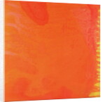 Rabbit Orange, 1997 by Charlotte Johnstone