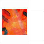 Clown Fish II, 1997 by Charlotte Johnstone