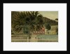View of a Red House with a Picket Fence, 1854 by American School