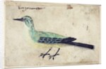 Study of a Bird, c.1620 by French School