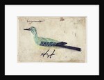 Study of a Bird, c.1620 by French School