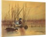 Mallard Ducks in a Lake, c.1890 by English School