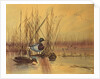 Mallard Ducks in a Lake, c.1890 by English School