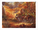 Woodcocks, c.1890 by English School