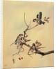 Goldfinches, c.1890 by English School