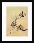 Goldfinches, c.1890 by English School