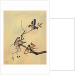 Goldfinches, c.1890 by English School