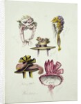 Designs for Regency Hats, 1828 by English School