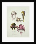 Designs for Regency Hats, 1828 by English School