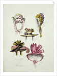 Designs for Regency Hats, 1828 by English School