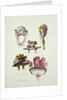 Designs for Regency Hats, 1828 by English School