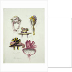 Designs for Regency Hats, 1828 by English School