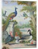 Exotic Birds and Domestic Fowl in a Picturesque Park, early 18th century by Jakob Bogdany