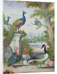Exotic Birds and Domestic Fowl in a Picturesque Park, early 18th century by Jakob Bogdany