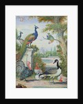 Exotic Birds and Domestic Fowl in a Picturesque Park, early 18th century by Jakob Bogdany