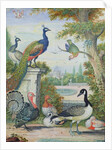 Exotic Birds and Domestic Fowl in a Picturesque Park, early 18th century by Jakob Bogdany