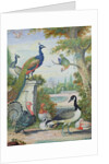 Exotic Birds and Domestic Fowl in a Picturesque Park, early 18th century by Jakob Bogdany