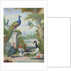 Exotic Birds and Domestic Fowl in a Picturesque Park, early 18th century by Jakob Bogdany