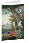 Parrots and a Lizard in a Picturesque Park, early 18th century by Jakob Bogdany