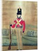 Sergeant, British Army, c.1815 by English School