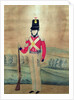 Sergeant, British Army, c.1815 by English School