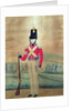 Sergeant, British Army, c.1815 by English School