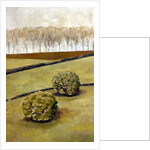 Spectators, Cotswolds, 2010 by Cruz Jurado Traverso