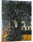 The Tree at Vence, 1929 by Chaim Soutine