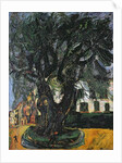 The Tree at Vence, 1929 by Chaim Soutine
