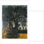 The Tree at Vence, 1929 by Chaim Soutine