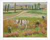 Harvesting with a White Horse by Roderic O'Conor
