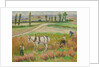 Harvesting with a White Horse by Roderic O'Conor