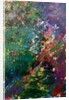 We create our own universe, 2021 by Courtenay Kusitor