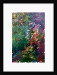 We create our own universe, 2021 by Courtenay Kusitor