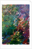 We create our own universe, 2021 by Courtenay Kusitor