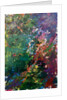 We create our own universe, 2021 by Courtenay Kusitor