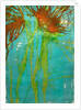 Orange wildflowers, 2021 by Courtenay Kusitor