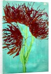 Red wildflowers, 2021 by Courtenay Kusitor