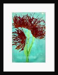 Red wildflowers, 2021 by Courtenay Kusitor