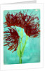 Red wildflowers, 2021 by Courtenay Kusitor