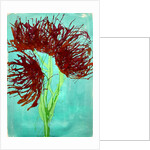 Red wildflowers, 2021 by Courtenay Kusitor