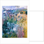 The Wild Beauty of Clee by Claire Spencer