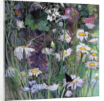 The White Garden by Claire Spencer