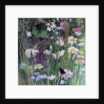 The White Garden by Claire Spencer