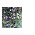 The White Garden by Claire Spencer